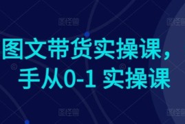 2024AI图文带货新手实操课 从0到1掌握全流程运营技巧