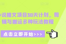 小说推文38天项目实操教程 剪辑搬运多种玩法全解析
