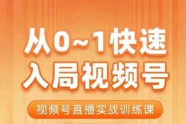 陈厂长从0到1入局视频号课程 视频号直播实战运营训练课