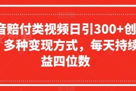 抖音赔付类视频引流创业粉玩法 日引300粉多种变现方式详解