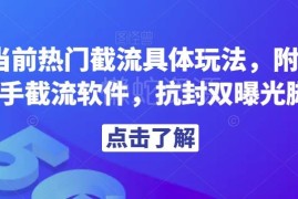 热门截流玩法实操详解 附赠全新快手抗封双曝光截流脚本工具