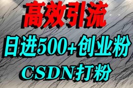 CSDN引流创业粉实操方法 单人单日可获取500+精准创业流量