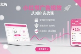 小红书广告投放从0到1实战课 全流程实操降低无效广告消耗