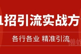 私域精准引流11招实战方法 全套11节引流运营课程完整分享
