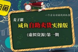 麦子甜闲鱼虚拟资源自助卖货实操 低人工自动变现全流程教程
