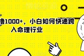 零基础小白跨入命理行业全攻略 操作简单可实现日入1000+