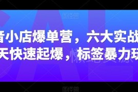 抖音小店爆单实战教程 六大实战篇7天起爆标签玩法实操指南