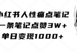 如何打造小红书人性痛点高赞笔记 常见变现方式详解