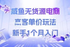 闲鱼无货源电商高客单价玩法攻略 新手1个月即可入门实操