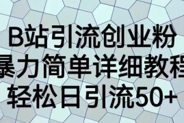 B站引流创业粉保姆级教程 全流程实操实现日引流50+方法详解