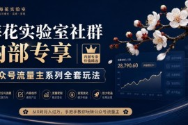 梅花实验室社群专享 公众号流量主从注册到变现全流程实操玩法