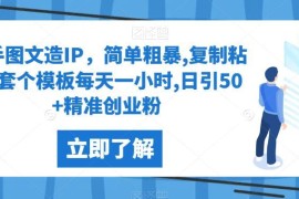 快手图文IP打造全流程实操教程 每日1小时引流50+精准创业粉