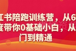 0基础小红书陪跑训练营 6大维度教学带你从入门到精通