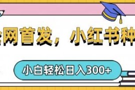 小红书种草类手机副业玩法 复制粘贴可矩阵运营单日收益300