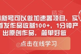 0粉新号可做的低门槛加速器项目 1分钟出原创首发收益超百元