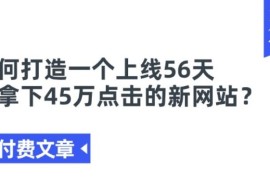 如何打造上线56天获45万点击新站 出海建站运营案例参考
