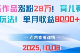 育儿赛道新玩法分享：18条作品涨粉28万 单月收益达8000元