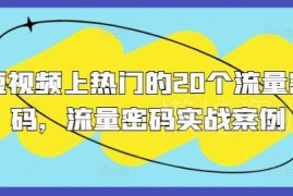 2024短视频上热门20个流量密码 附实战案例及运营技巧
