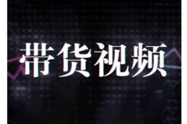 短视频带货10步法教程 模式分析选品思路数据提升技巧详解