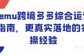 Temu跨境电商运营实操指南 零基础从入驻到爆品打造全流程教学