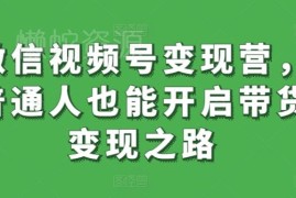 微信视频号变现营系统课 普通人零基础入门带货变现实操教程