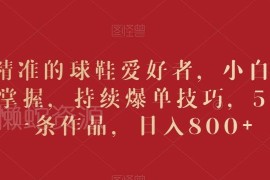 精准吸引球鞋爱好者爆单技巧 小白5分钟出片实操教程