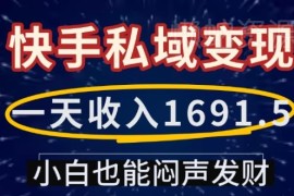 快手私域变现实操项目教程 零基础小白可上手单日收益超千元