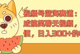视频号蓝海赛道玩法：AI生成搞笑聊天视频 低门槛日入300+实操教程