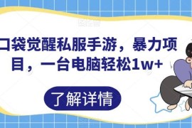 口袋觉醒私服手游运营项目拆解 单台电脑月入过万实操指南