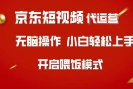 2024京东短视频代运营玩法解析 零经验小白可轻松上手实操