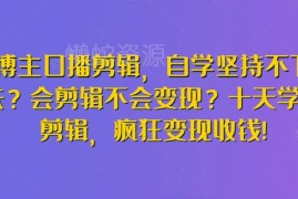 博主口播剪辑入门教程 剪辑技能提升及变现方法实操教学