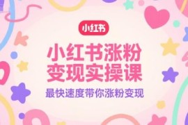 2024小红书涨粉变现实操课 全流程掌握账号运营爆文技巧