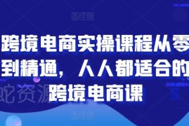 跨境电商零基础实操全阶课程 从入门到精通系统学习教程