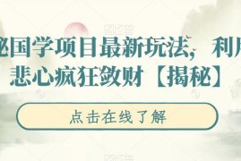 国学类网赚项目最新玩法拆解 警惕借信仰收割牟利的套路