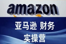 亚马逊财务核算实操营教程 跨境电商财务全流程干货教学