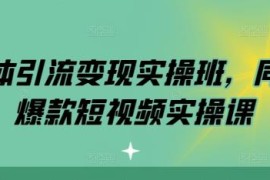 实体商家同城爆款短视频实操课 抖音引流变现全流程教学