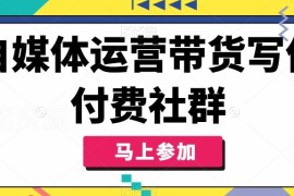 2024自媒体运营带货写作课程 新手从0到1做内容带货全攻略