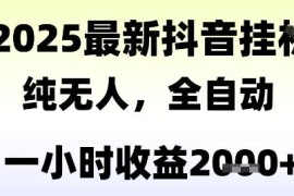2025抖音纯无人直播撸音浪礼物项目 小白低门槛当天见收益