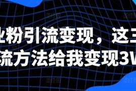创业粉引流变现实操方法分享 3种落地玩法已实现3万+收益