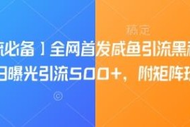 闲鱼自动化引流工具使用教程 附矩阵玩法可实现单日引流500+
