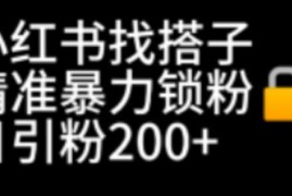 小红书找搭子功能引流实操技巧 日引200+精准粉玩法攻略