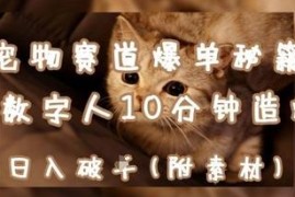 宠物赛道变现教程：用AI+数字人制作爆款内容快速涨粉盈利