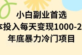 适合新手小白的零成本冷门副业揭秘 上手可日入1000-2000
