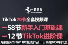 TikTok新手入门到进阶全课程 短视频投流打品日销千单实操方法