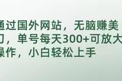 国外getpaidto兼职网站赚美刀实操方法 小白易上手可放大收益