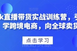 TikTok直播带货实战训练营 跨境电商全球卖货全流程教程