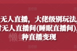 抖音24小时无人睡眠直播间搭建方法及变现玩法实操揭秘