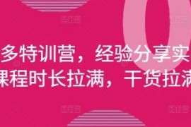 2025年4月更新拼多多运营特训营 全流程实操干货经验分享