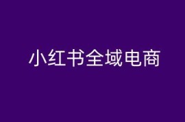 2024小红书全域电商实操教程 含店铺运营直播玩法全流程