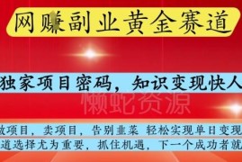 网创副业黄金赛道玩法揭秘 掌握卖项目培训SOP可单日变现千元